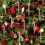 Red Shatterproof Plastic Christmas Ball Ornaments 6 Pcs 6