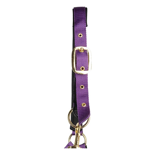 (Cob, Purple) Hy Fieldsafe Horse Headcollar 1