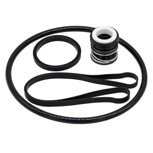 Replacement Seal Kit for SPX1600Z2 Pool Pump Shaft Assembly