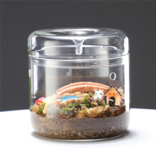 Terrario In Vetro Micro-Landscape con Coperchio per Raccolta Rugiada, Vaso per Bonsai In Vetro Microscopico, Paesaggio Ecologico, Bottiglia L