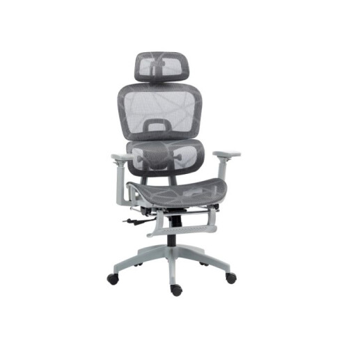 Multi-Adjustable Mesh Office Chair - Grey