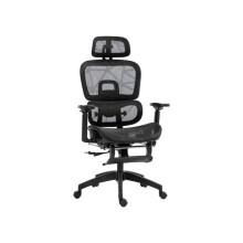 Multi-Adjustable Mesh Office Chair - Black