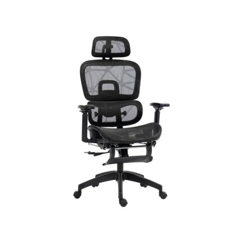 Multi-Adjustable Mesh Office Chair - Black
