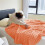 Flannel Blanket Coral Fluff Border Jade Green 4