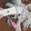 Pet Shaver Electric Clipper Rechargeable with 3