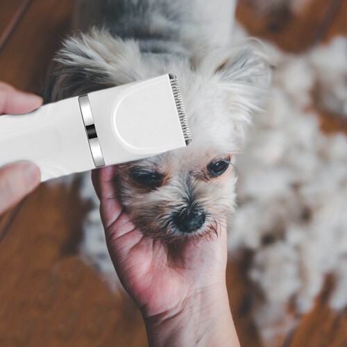 Pet Shaver Electric Clipper Rechargeable with 2
