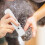 Pet Shaver Electric Clipper Rechargeable with 5