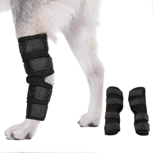 (S) Pet Knee Pads for Senior Dogs Front Leg Compression Brace Pair