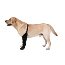 (L) Strong Support Dog Knee Brace for Front Left and Back Leg