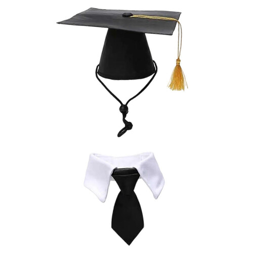 (C, One Size) Graduation Cap Bow Tie Necktie Tassels Set