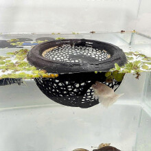 (Black) Floating Betta Skins BettaShrimpFeeder Cave Hammock Feeding Rings Aquarium Hiding Decor