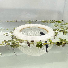 (Beige) Floating Betta Skins BettaShrimpFeeder Cave Hammock Feeding Rings Aquarium Hiding Decor