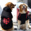 Dog Hoodie with Hat and Pocket Windproof Grid Style 2
