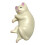 3D Cat Refrigerator Magnet Whiteboard Memo 1 Pack 2