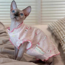 (M, Pink) Baumwollweste mit Spitzenhalsband für Katzen und Kaninchen (rosa) – geeignet für Sphynx, Devon Rex, Hunde und Kätzchen
