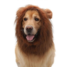 (COFFEE, Head circumference 56cm) Lustige Löwenmähnenperücke als Hundekostüm für Halloween und Weihnachten