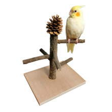 (C) Wood Parrot Play Gym Climb Ladder Holder Feeder Training Bird Home Living Room Decor
