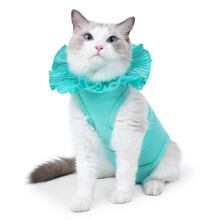(Green, S) Post-Surgery Cat Bodysuit for Wound Healing and Castration Protective Garment Green Size S