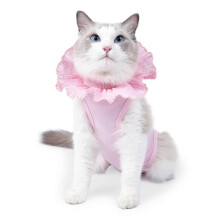 (Pink, S) Post-Surgery Cat Bodysuit for Wound Healing and Castration Protective Garment Green Size S
