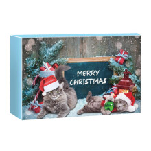 (Model A) 24-Day Cat Advent Calendar Fun Toys Treats Interactive Catnip Perfect Gift for Cat Lovers