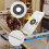 Router Table Insert Plate for Woodworking Benches with 4 4