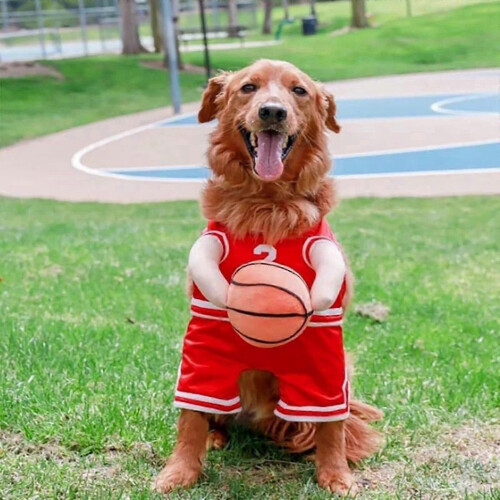 (Red, M) Costume da giocatore di basket per cani con palla per cani e gatti 2