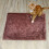 Pet Throw Blanket Coral Plush 45x65 cm 4