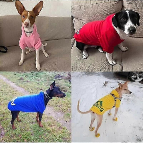 (Black, 2XL) Sudadera con capucha de algodón Adidog para perros pequeños y medianos. 2