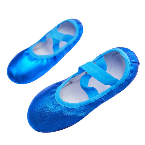 Ballet Shoes for Toddlers Blue Canvas Elastic