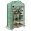 Four-Tier Mini Greenhouse, with Reinforced Plastic Cover 1