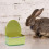 Rabbit Feeder Hanging Dish Anti-Tip for Cage Use 6