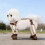 (M) Dog Dust Pants Keep Warm Paw Protector 4
