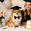 (D, One Size) Graduation Cap Bow Tie Necktie Tassels Set 2