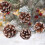 Pine Cones with White Edges Christmas Ornaments Set 6 Pieces 1