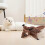 (D) Advanced Flying Cat Toy Mimics Chirps of Featherlike Bird 3