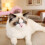 (Pink) Soft Round Teeth Cat Grooming Comb for Sensitive Skin 4