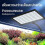 (A, Onesize) Full Spectrum LED Aquarium Clip Grow Light 360 Adjustable 5