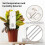 Zigbee Soil Temperature Humidity Detector with Watering Controller Wireless  Tester Soil Sensor Moisture Meter 6