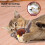 (Bat, One size) Rechargeable Interactive Cat Toy with Electric Simulated Bird 3