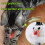 (A) Exciting Random Motion Electronic Pet Toy for Active Fun Multicolor 5