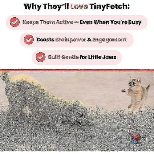 (Blue) Tiny Interactive Fetch Toy for Dogs Cats with Fast Ball Endless Fun 1