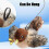 (E) Advanced Flying Cat Toy Mimics Chirps of Featherlike Bird 4