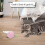 (Pink) Smart Interactive Cat Toy with LED Lights and Wicked Mouse for Indoor Cats 4
