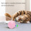 (Pink) Smart Interactive Cat Toy with LED Lights and Wicked Mouse for Indoor Cats 5