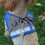 (Blue, XL) Ausbruchsicheres Katzengeschirr 3