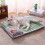 (Coffee, S) Thickened Cozy Pet Bed with Removable Pillow for Winter Warmth 3