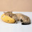 (Yellow) Soft Polyester PP Cotton Cat Pillow for Deep Sleep - Cute Pet Accessory 5