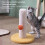 (Light Blue) Indoor Cat Scratching Post Scratch Resistant Coral Fleece Cute Shape Stable Comfortable 2