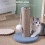 (Light Blue) Indoor Cat Scratching Post Scratch Resistant Coral Fleece Cute Shape Stable Comfortable 3