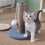 (Yellow) Indoor Cat Scratching Post Scratch Resistant Coral Fleece Cute Shape Stable Comfortable 5